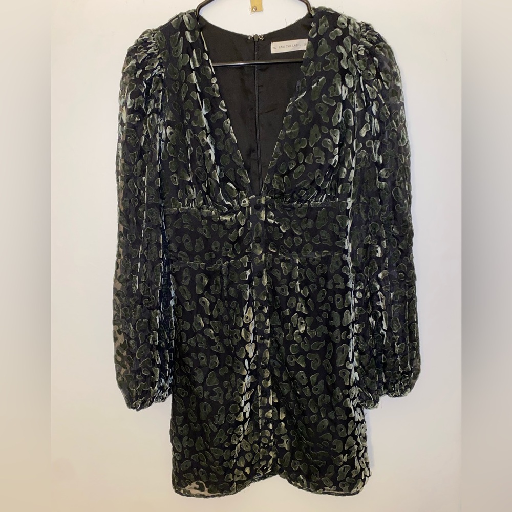 Lani the label printed green velvet mini dress sz S